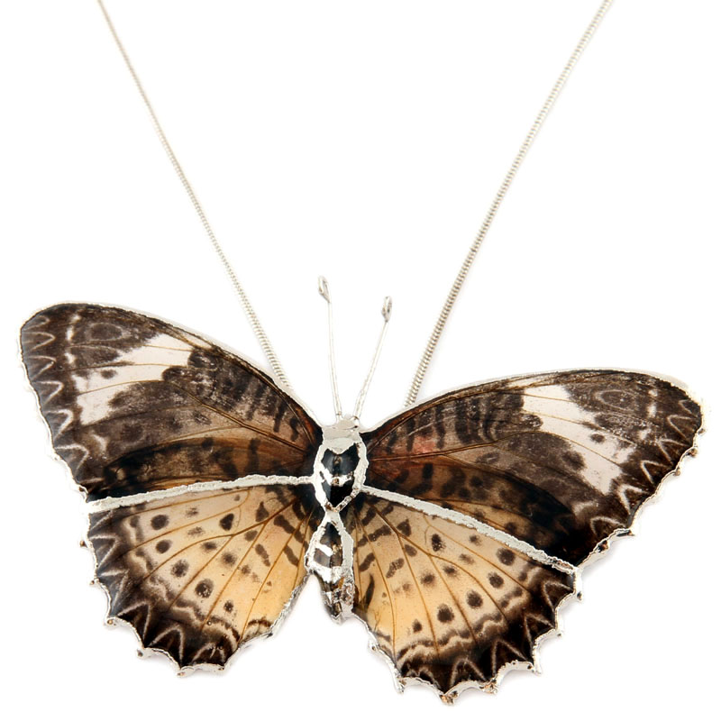 Колье из бабочки Марта с серебряной  окантовкой (на цепочке)